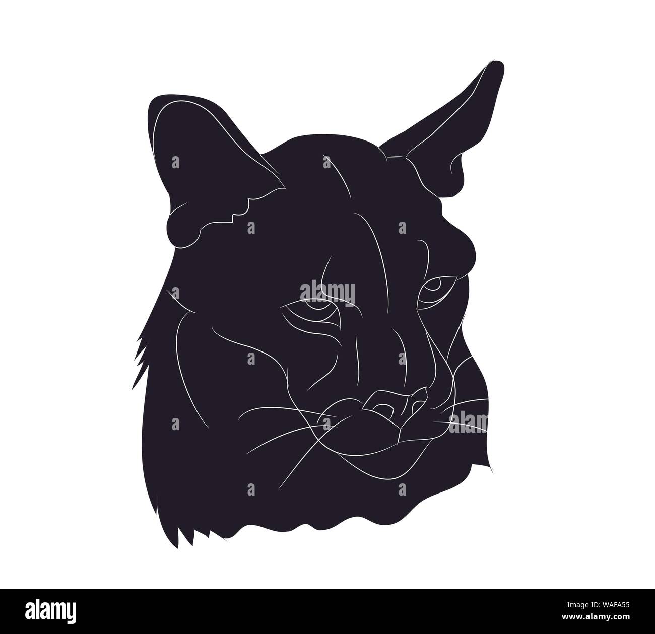 Vector Illustration einer Löwin , Schattenbild zeichnen, Vector, weißer Hintergrund Stock Vektor