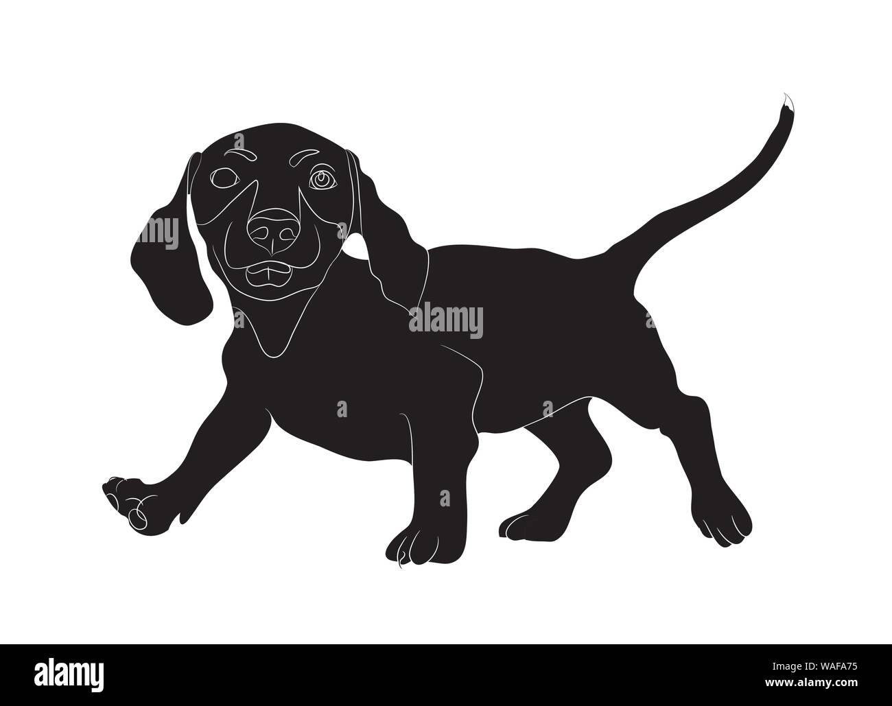 Dackel steht, Hund, Silhouette, Vector, weißer Hintergrund Stock Vektor