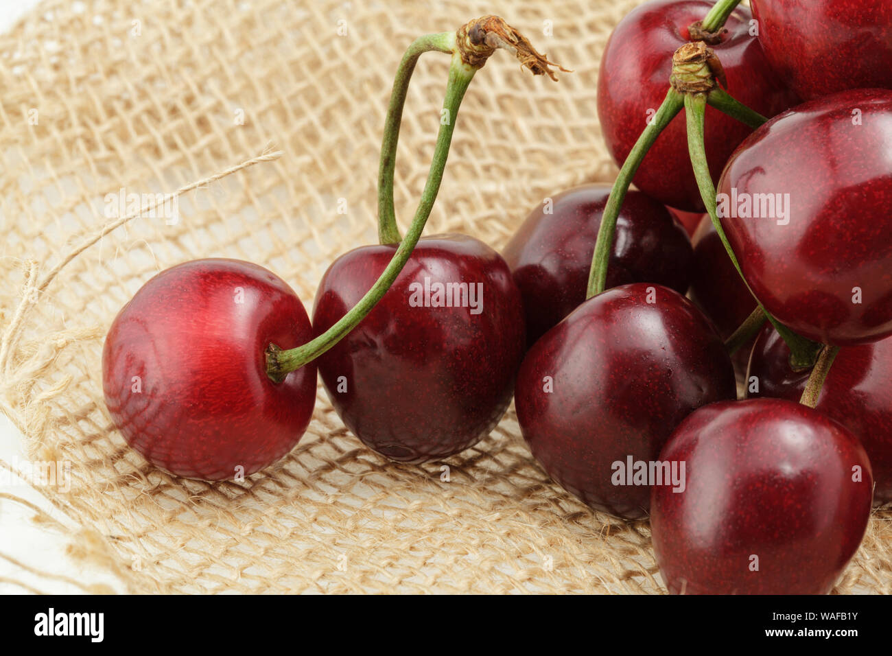 Nahaufnahme von Plumpen, frische rote Kirschen auf hessischen Fabric Stockfoto