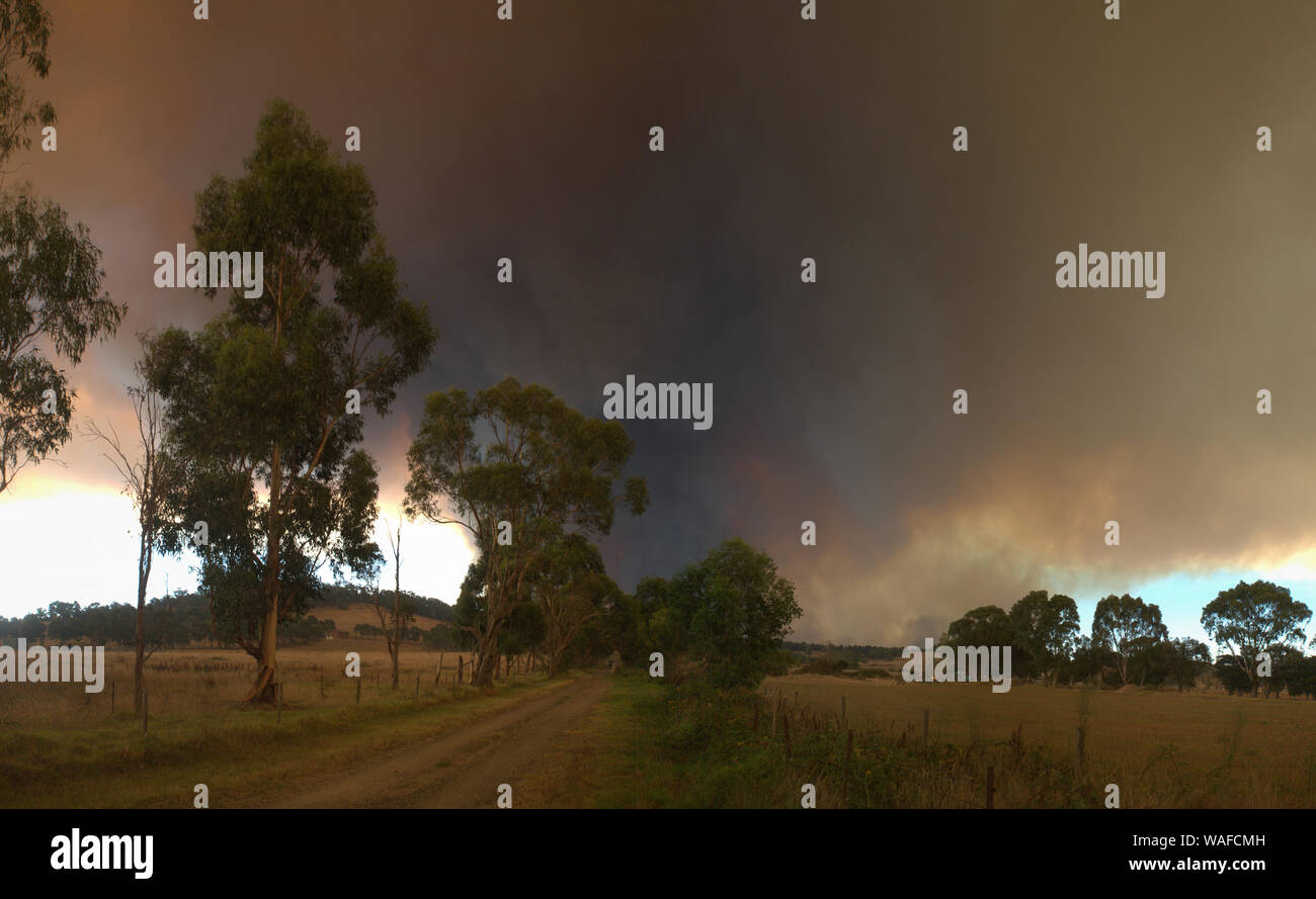 Bush Feuer, Rauch und Gras brennen, in Tynong, Victoria, Australien Stockfoto