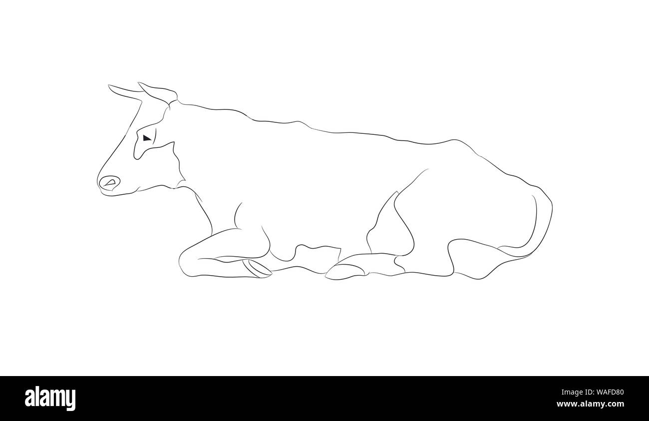 Vector Illustration einer Kuh, liegt, Zeichnen von Linien, Vector, weißer Hintergrund Stock Vektor