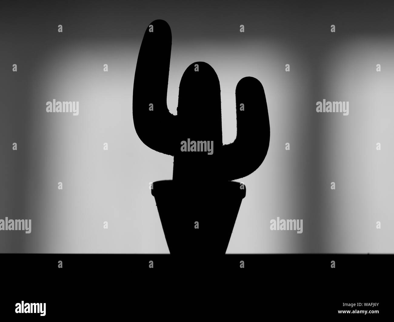 Silhouette einer dekorativen Kaktus zu Hause Stockfoto