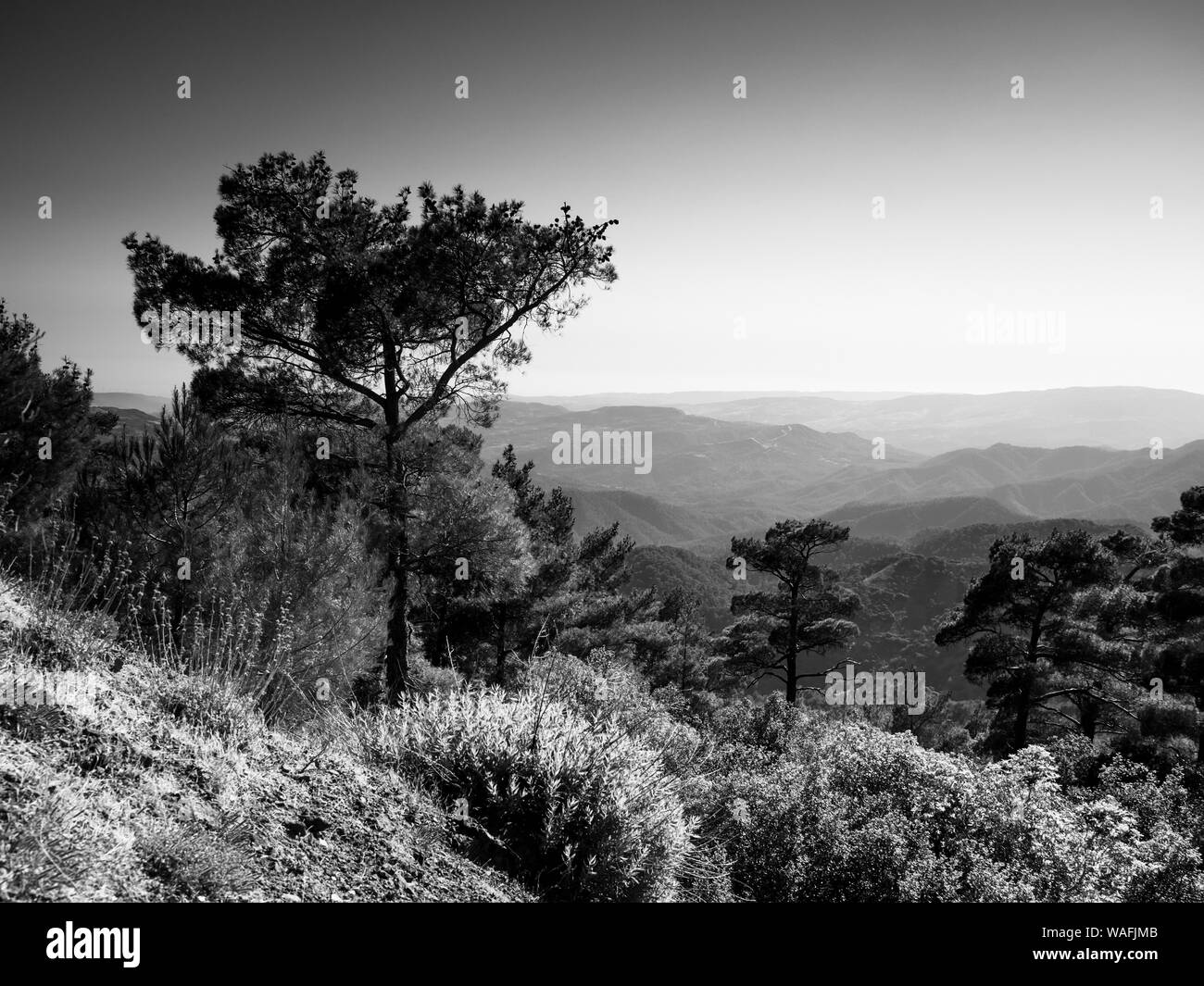 Troodos Berge, Zypern Stockfoto