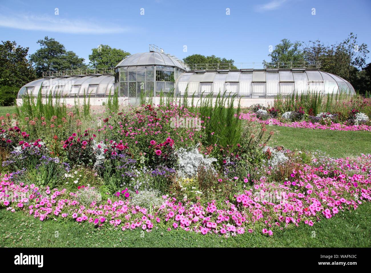 Holland Gewächshaus von Agave im Park des goldenen Kopf in Lyon, Frankreich Stockfoto