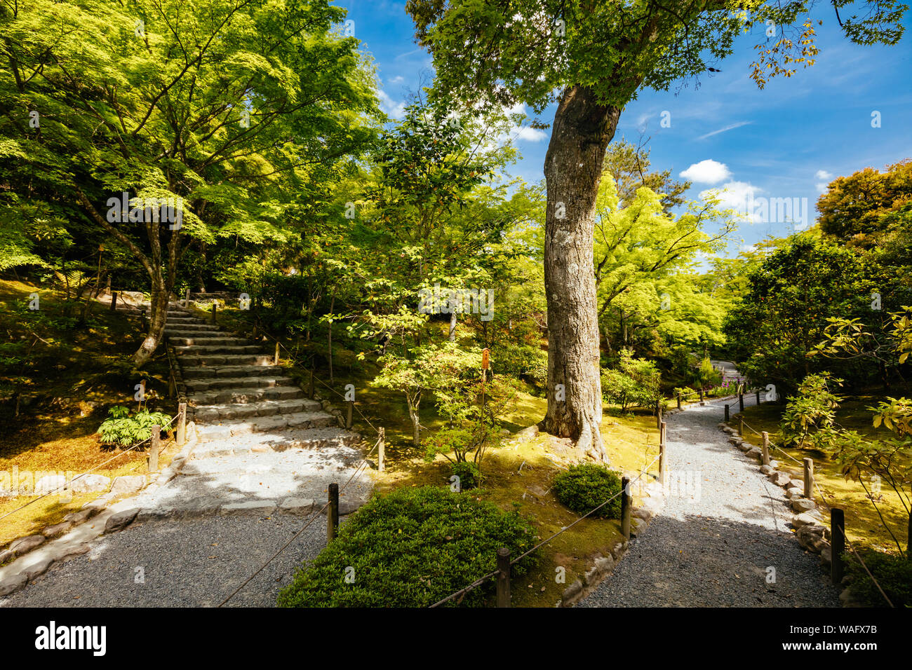 Tenryu-ji Garten und Tempel in Kyoto Japan Stockfoto