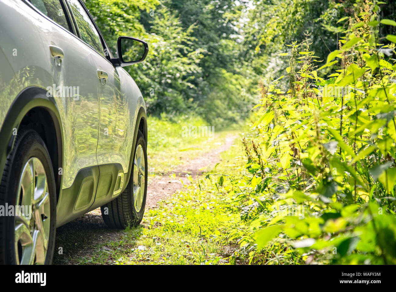 Seitenansicht eines Autos auf einem Waldweg. Stockfoto