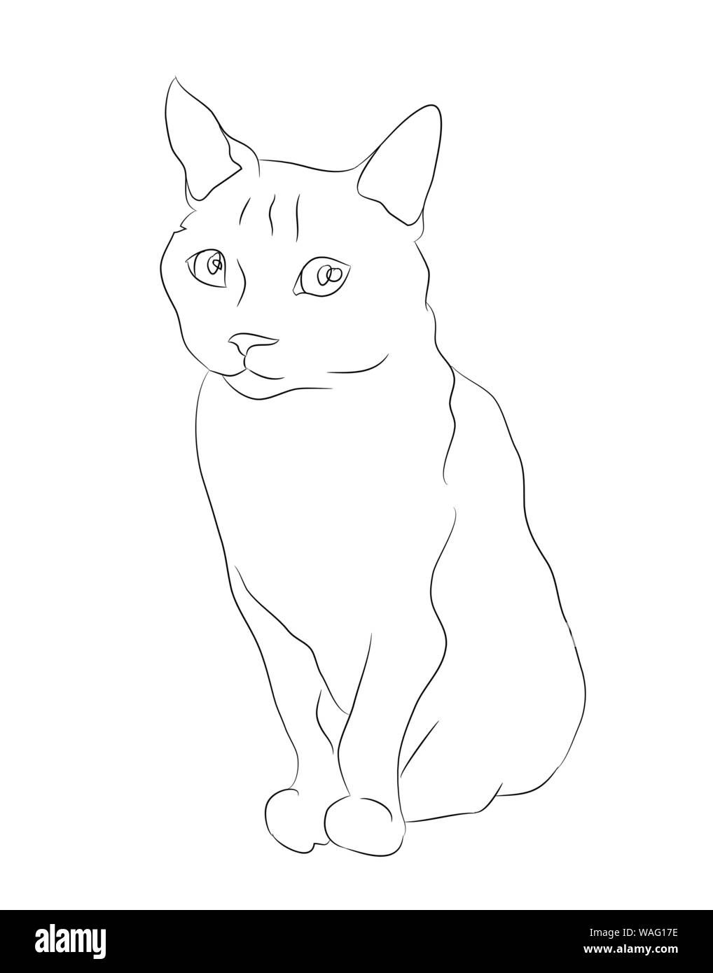 Vector Illustration Katze sitzt, zeichnen Linien, Vector, weißer  Hintergrund Stock-Vektorgrafik - Alamy