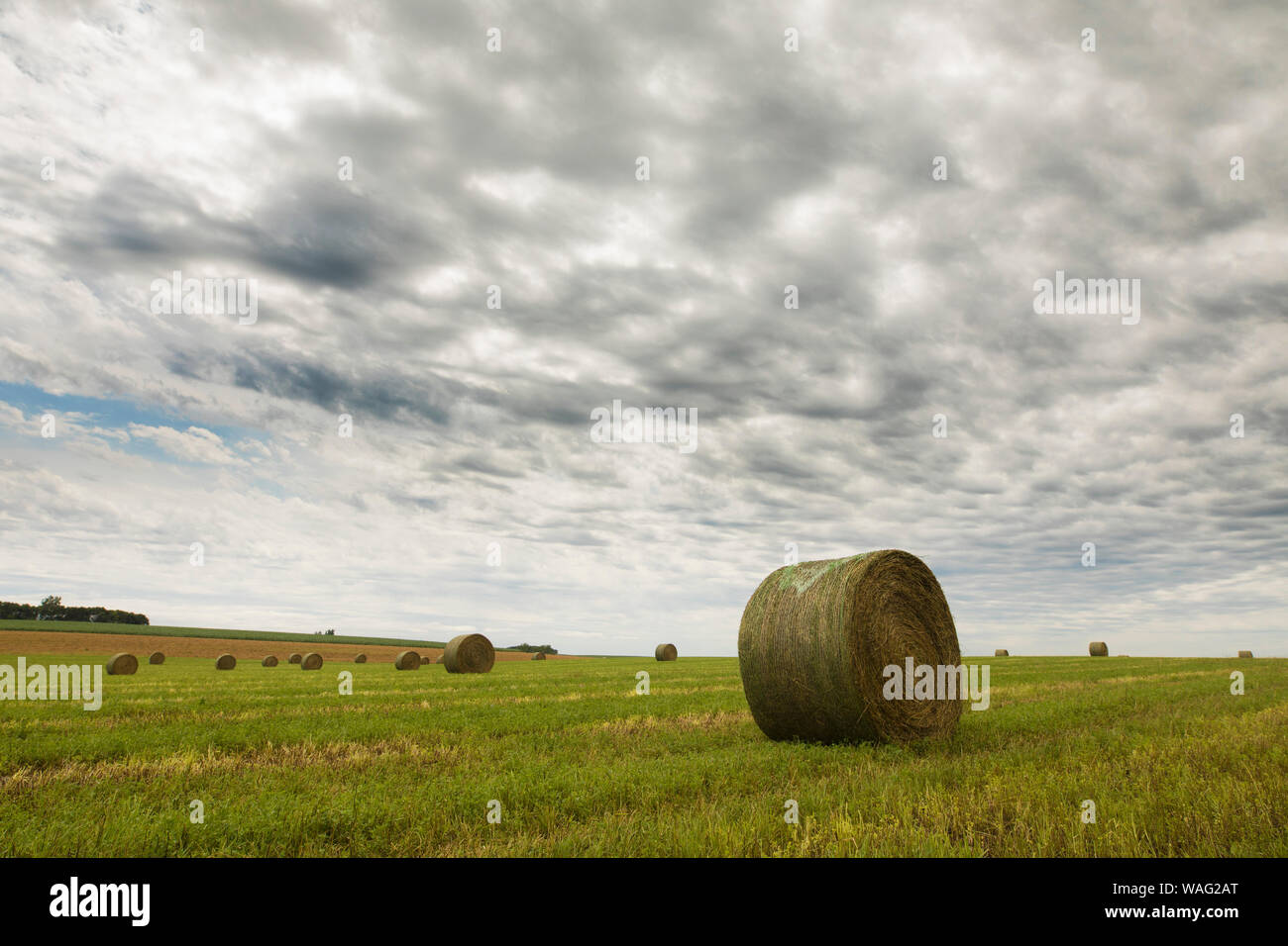 Bereich der haybales in South Dakota mit dramatischen Wolkenhimmel, Wide Angle Shot. Stockfoto