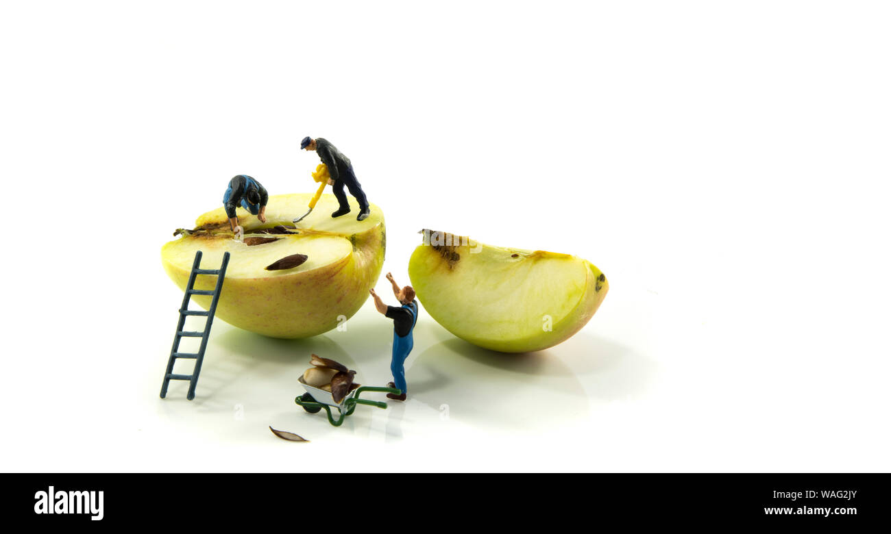 Kleine Figuren besetzt das Entfernen der Samen aus dem Apple auf weißem Hintergrund Stockfoto