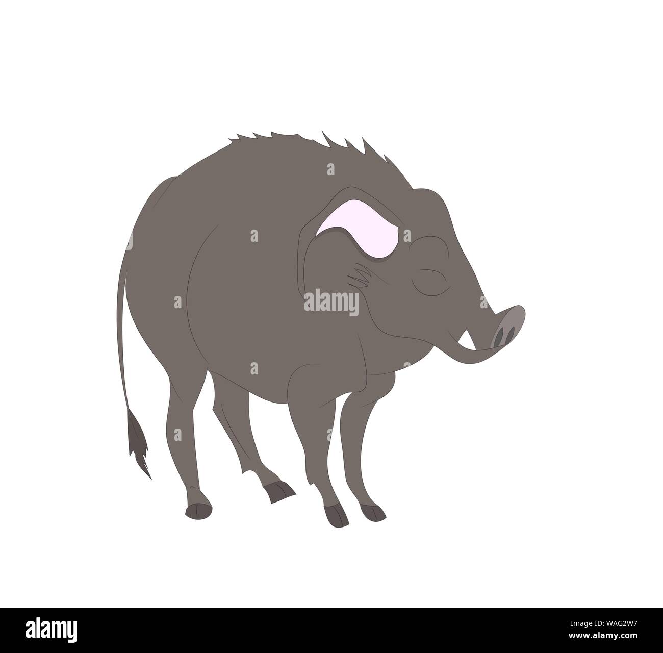 Vector Illustration eines Wildschwein steht, Farbe, Vector, weißer Hintergrund Stock Vektor
