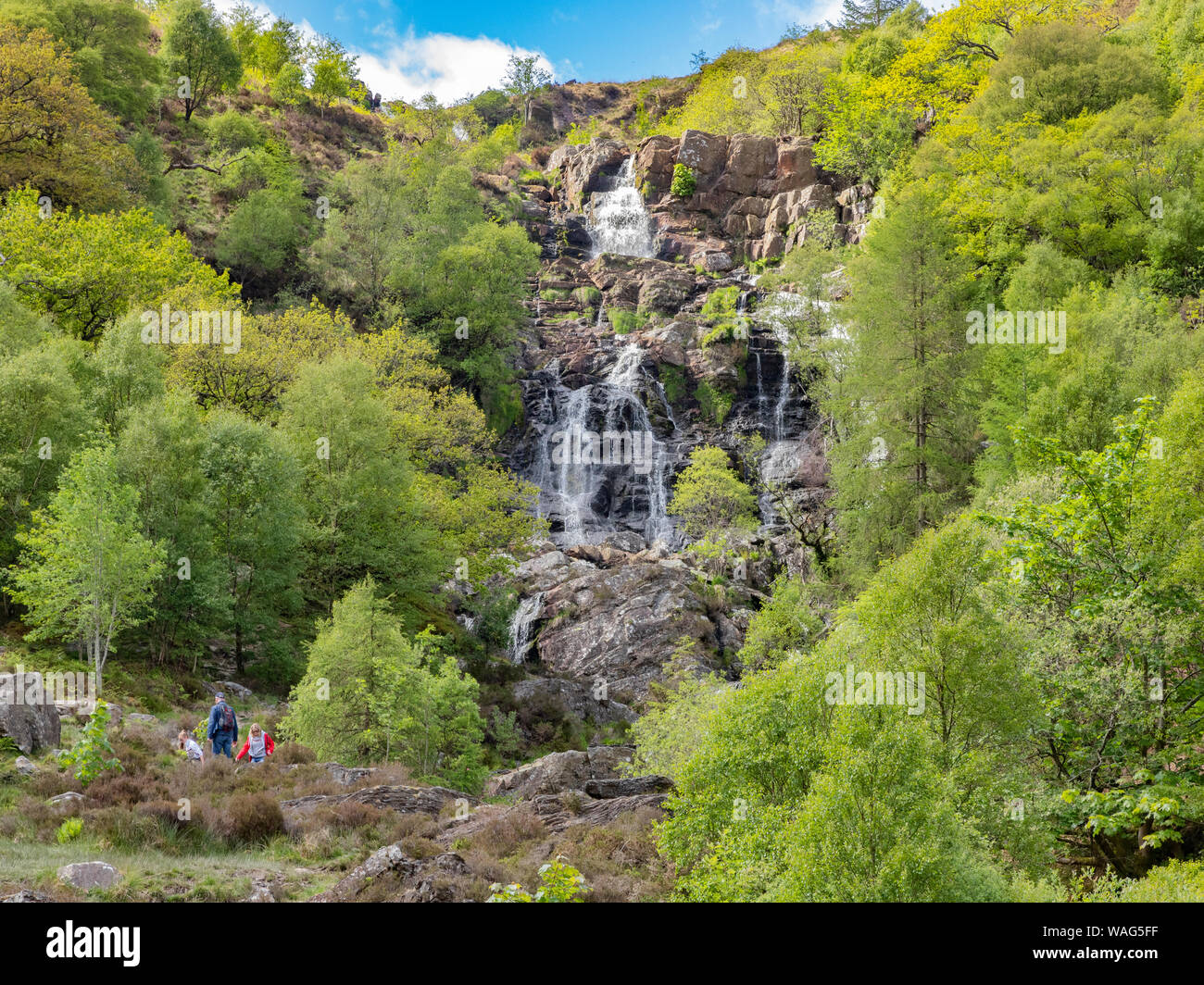 28. Mai 2019: Lake Vyrnwy, Powys, Wales - Rhiwargor Wasserfall oder Pistyll Rhyd-Y-meincau, auf dem Fluss Eiddew über Lake Vyrnwy. Stockfoto