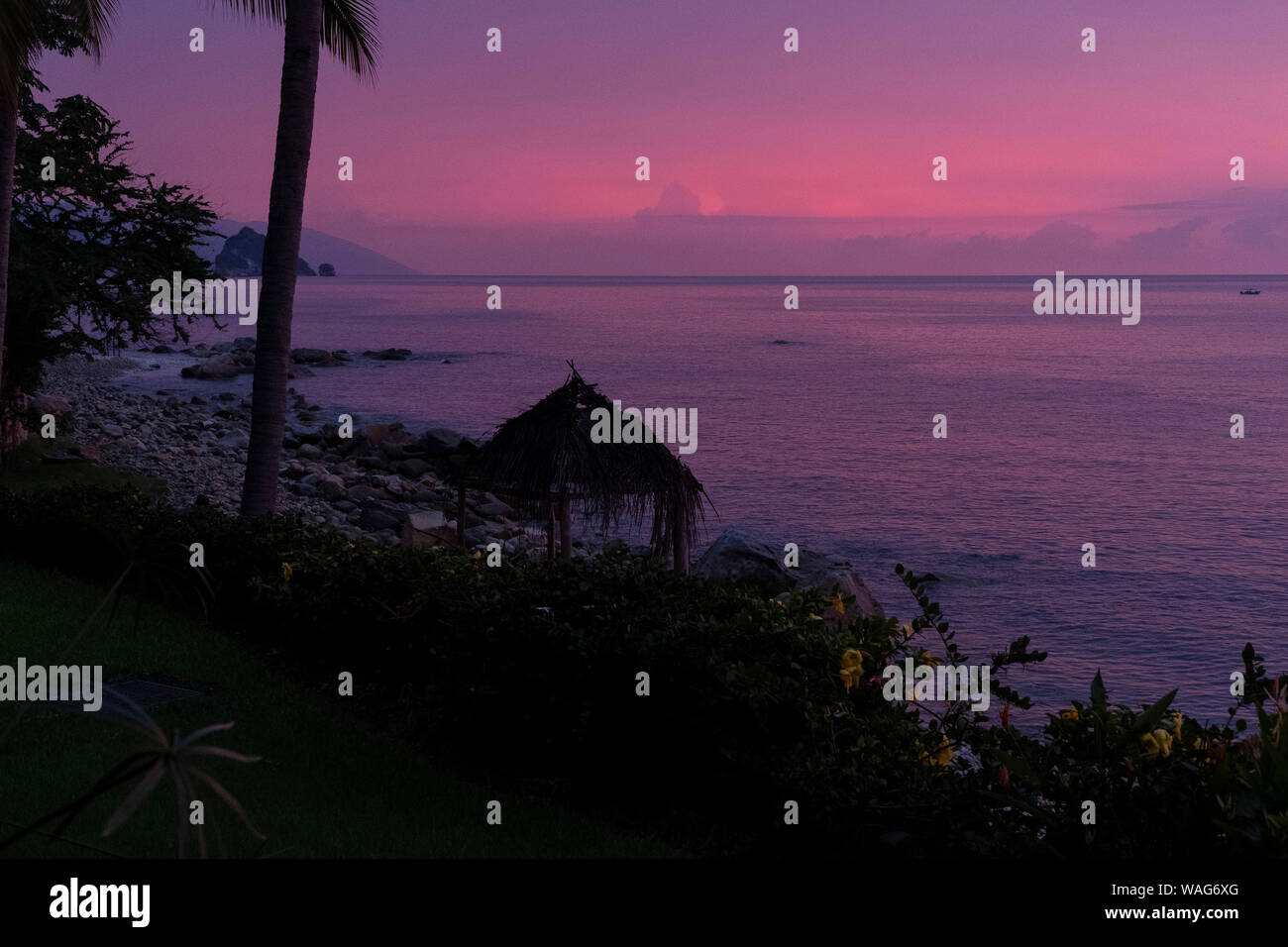 Summer Sunset Stockfoto