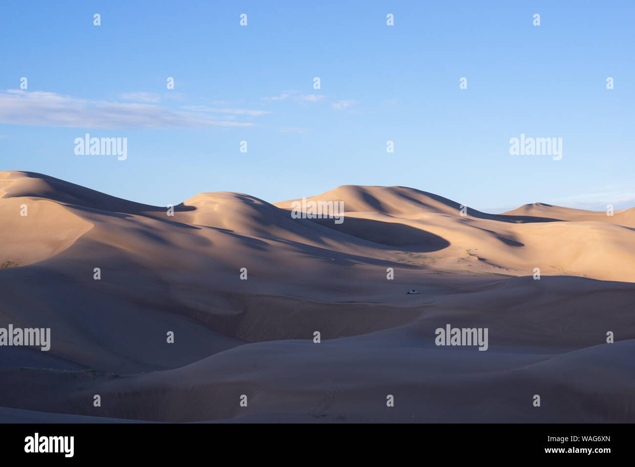 Morgen Licht in der Wüste beim Camping Great Sand Dunes National Park Stockfoto