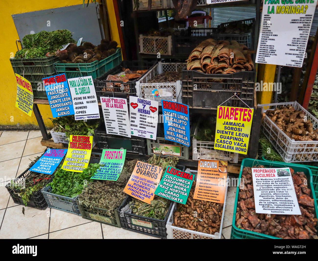 Heilkräuter und Pflanzen Stockfoto