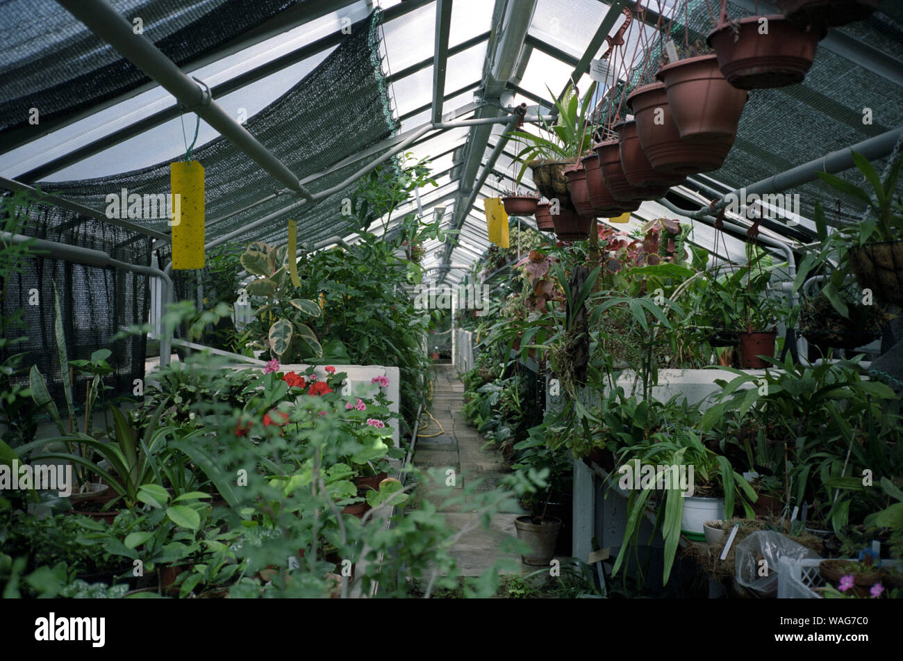 Blumen Innen Stockfotos und bilder Kaufen Alamy