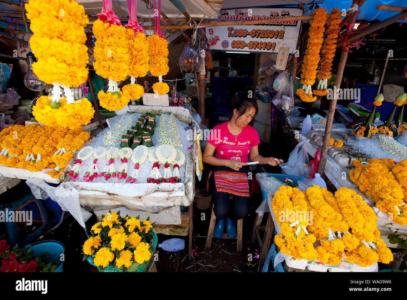 CHIANG MAI, THAILAND Stockfoto