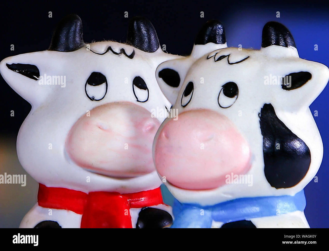 MOO Stockfoto