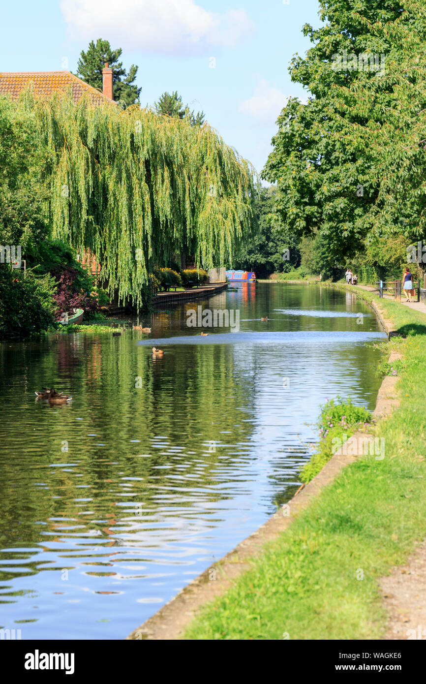 Leinpfad entlang des Grand Union Canal (Leicester Abschnitt - Loughborough Zweig) durch Loughborough, Leicestershire, England, Großbritannien Stockfoto