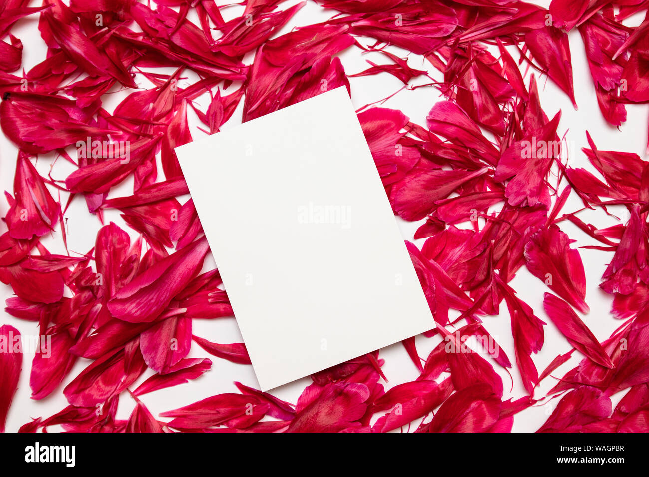 Minimal Desktop mit leeren Seite Mockup, Pfingstrose Blüten. Kreatives Konzept, grußkartenvorlage. Horizontale Stockfoto