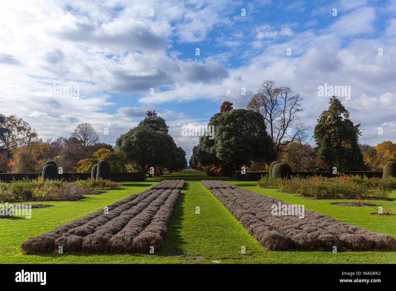 Royal Botanic Gardens, Kew, London Borough von Richmond upon Thames, England, Vereinigtes Königreich, Stockfoto