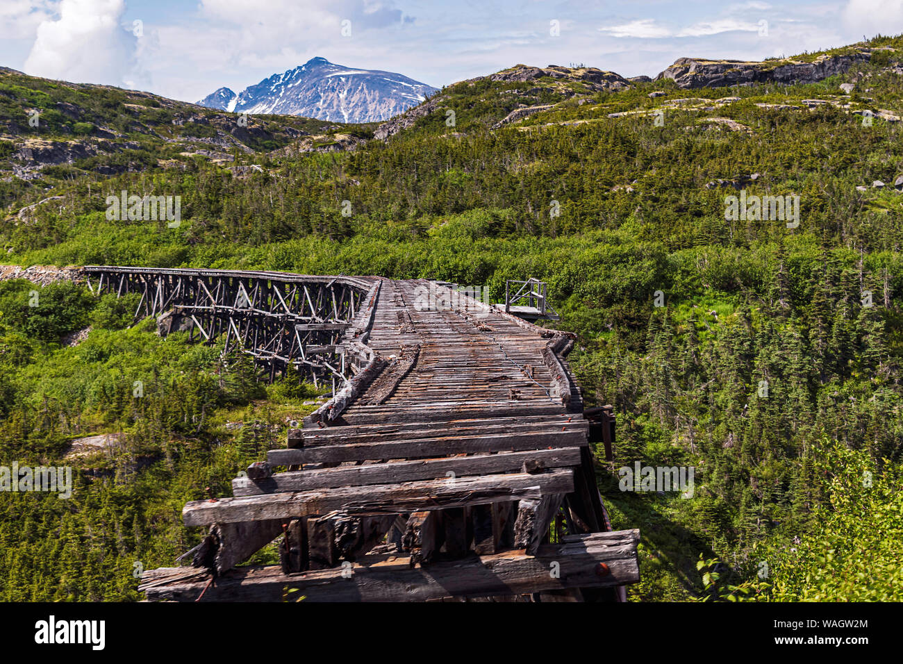 Historische Stahlbrücke über den White Pass rail Route 18 Meilen nördlich von skagway Alaska von Wald und Bergen umgeben Stockfoto