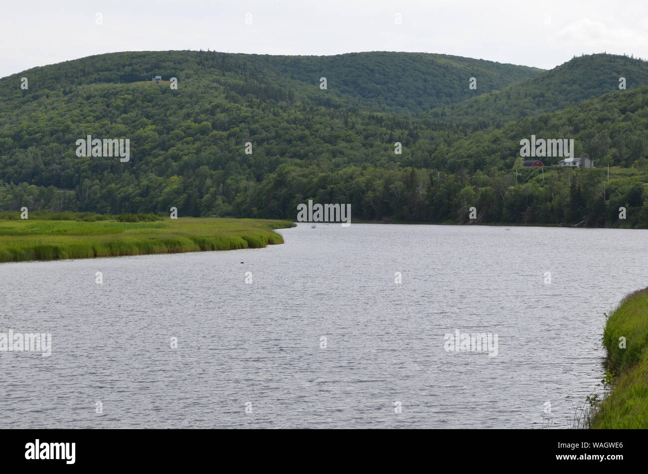 Sommer in Nova Scotia: Mit Blick auf die margaree Margaree River in der Nähe von Forks auf Cape Breton Island Stockfoto