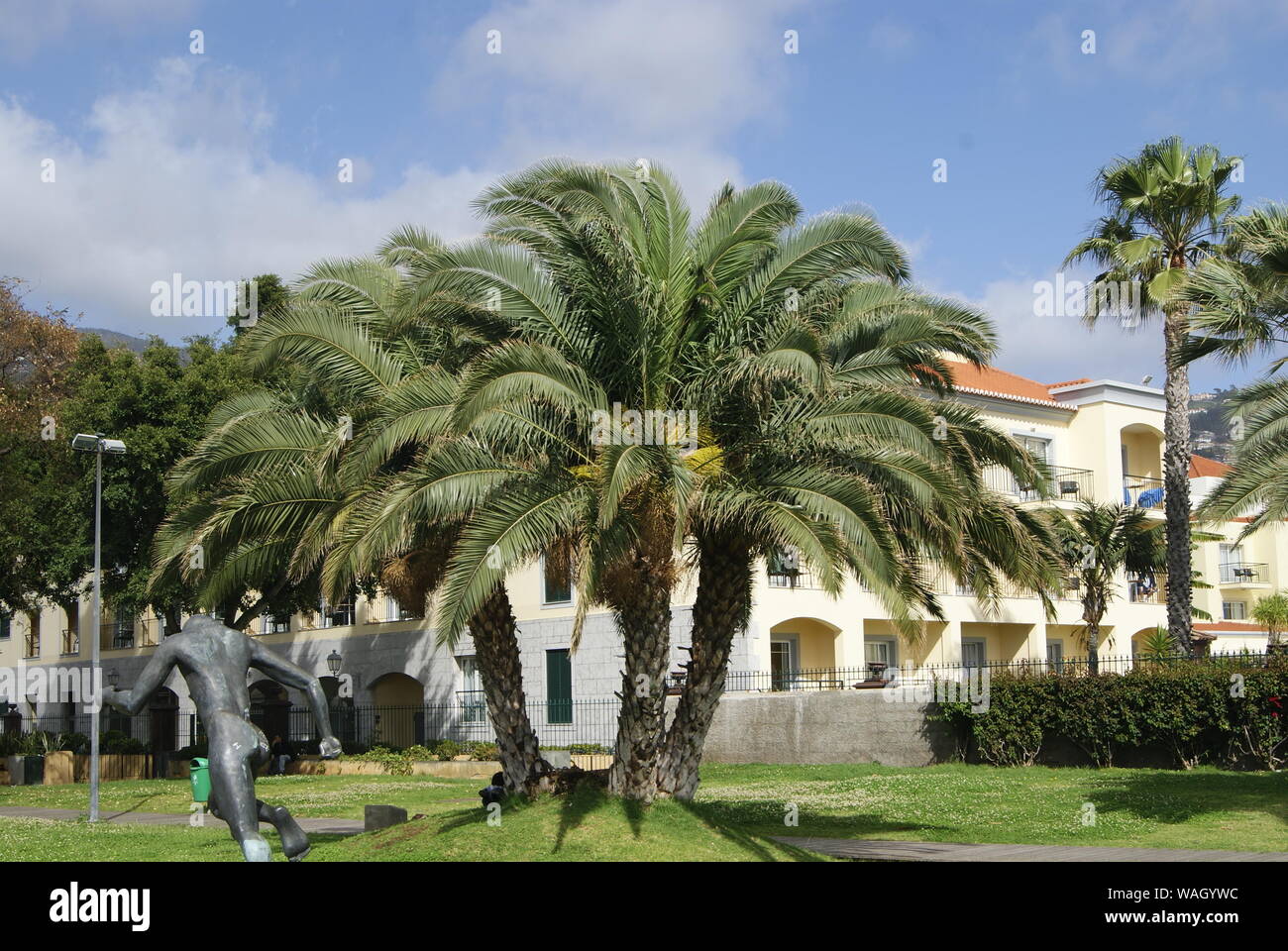 Une Statue d'un homme en Bronze, un palmer et des maisons à Funchal, Madère Stockfoto
