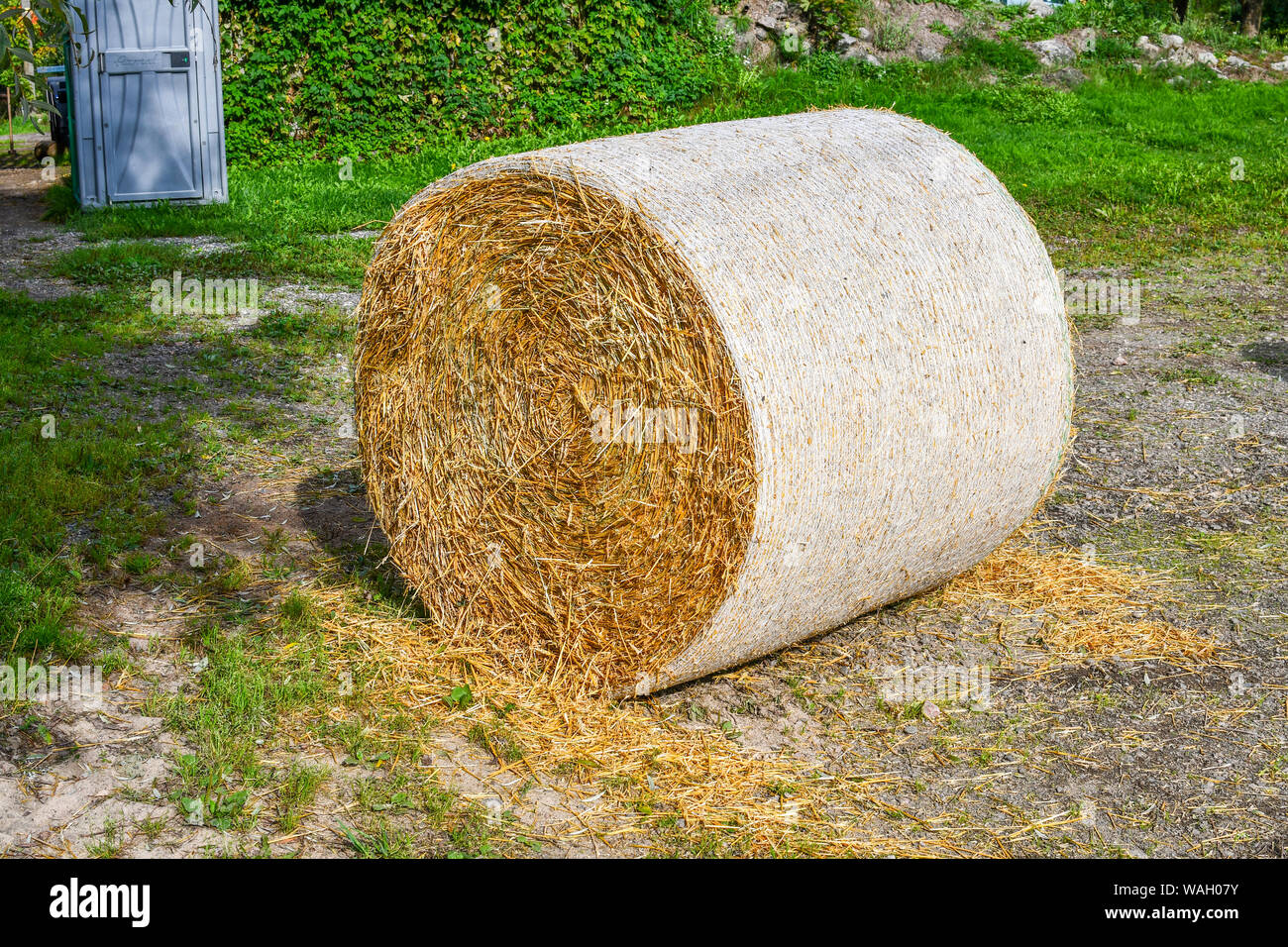 Nahaufnahme von einem Ballen Stroh Heu auf einem ländlichen Bauernhof. Stockfoto