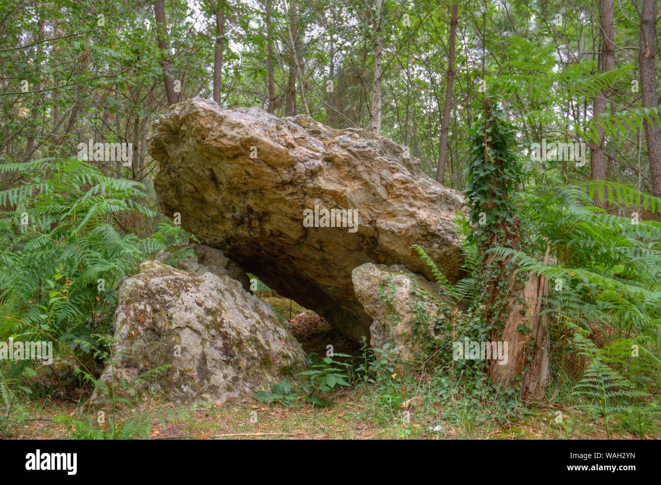 Dolmen, praehistoric Grab, im Wald Stockfoto