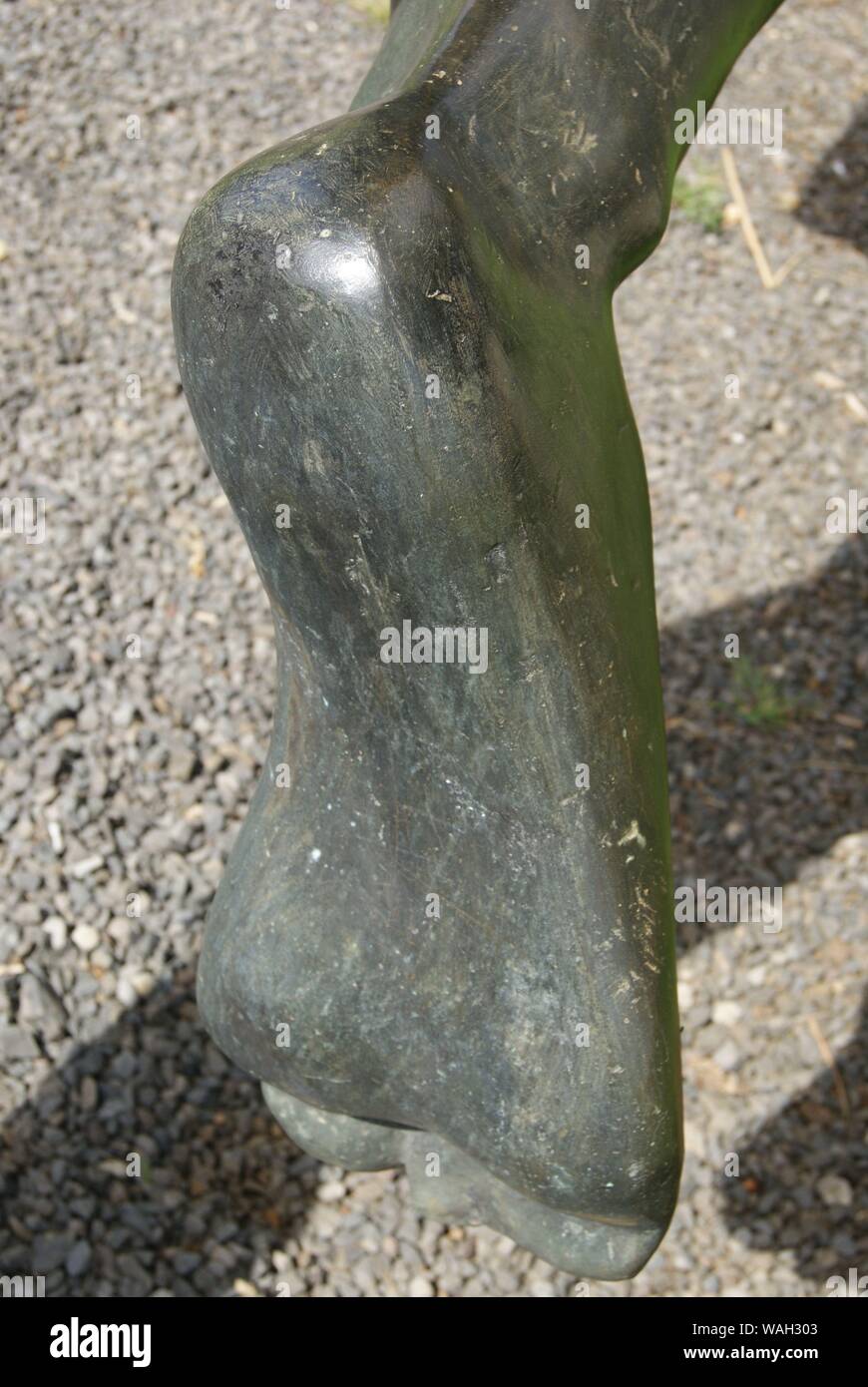 Skulptur aus Bronze, Détail, Pied droit, funchal, madère Stockfoto