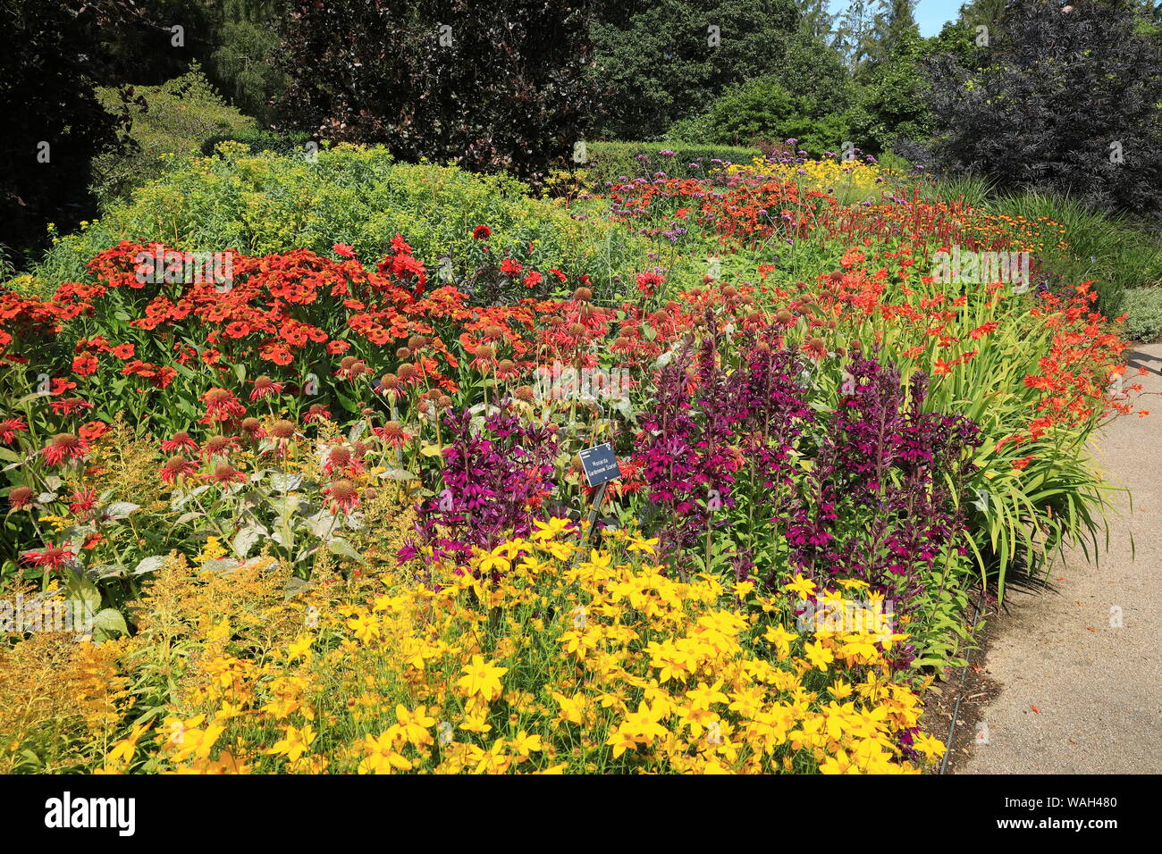 RHS Garden Rosemoor - Heiße, North Devon, England, Großbritannien Stockfoto