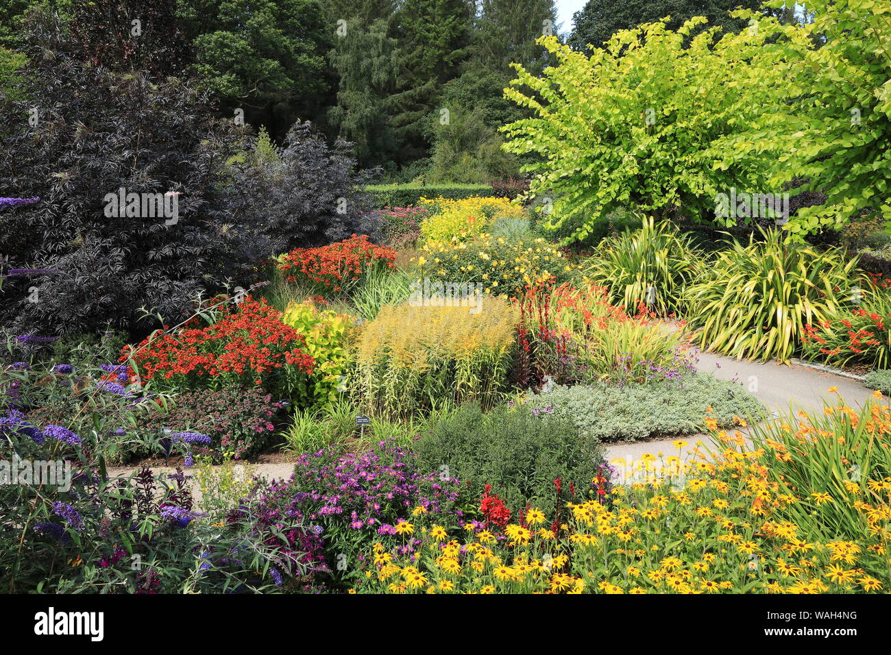 RHS Garden Rosemoor - Heiße, North Devon, England, Großbritannien Stockfoto