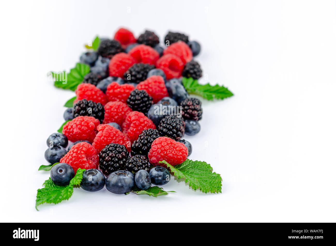 Blaubeeren, Brombeeren, Himbeeren und grüne Blätter auf Weiß isoliert. Stockfoto