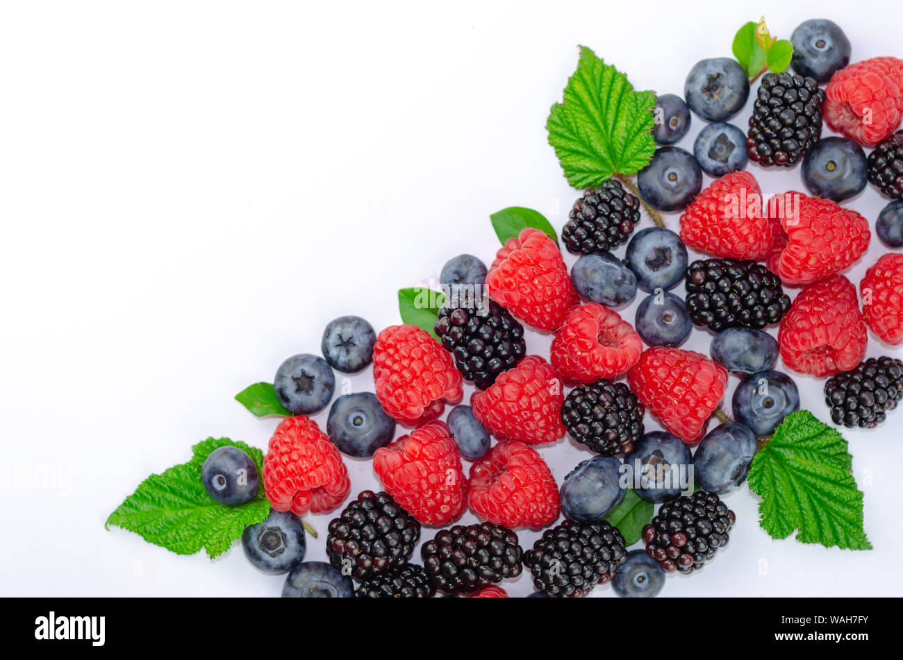 Blaubeeren, Brombeeren, Himbeeren und grüne Blätter isoliert auf Weiss - Flach Foto mit einer Kopie. Stockfoto