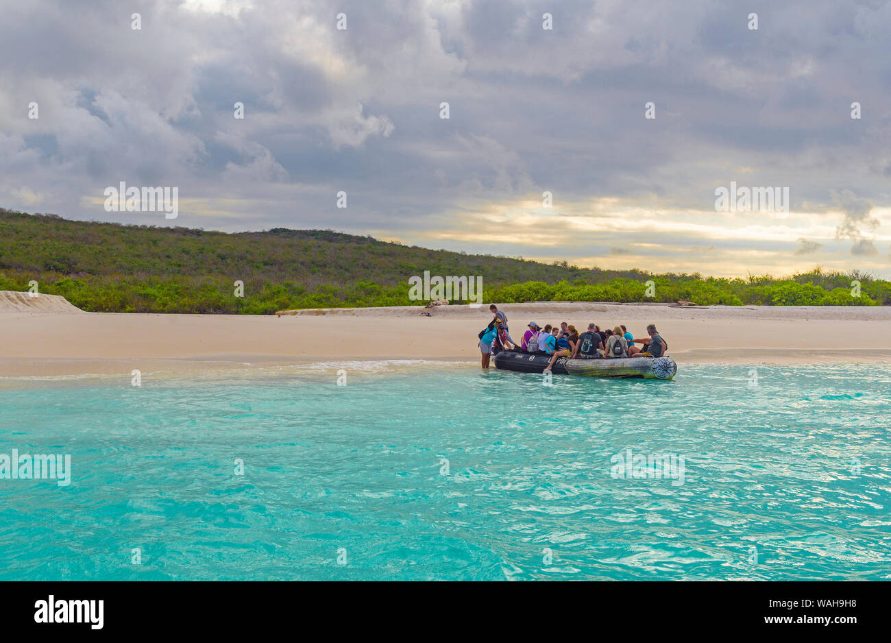 Touristen in einer nassen Landung von einem Zodiac Boot am Strand von Bahia Gardner oder Gardner Bay, Espanola Island, Galapagos, Ecuador. Stockfoto