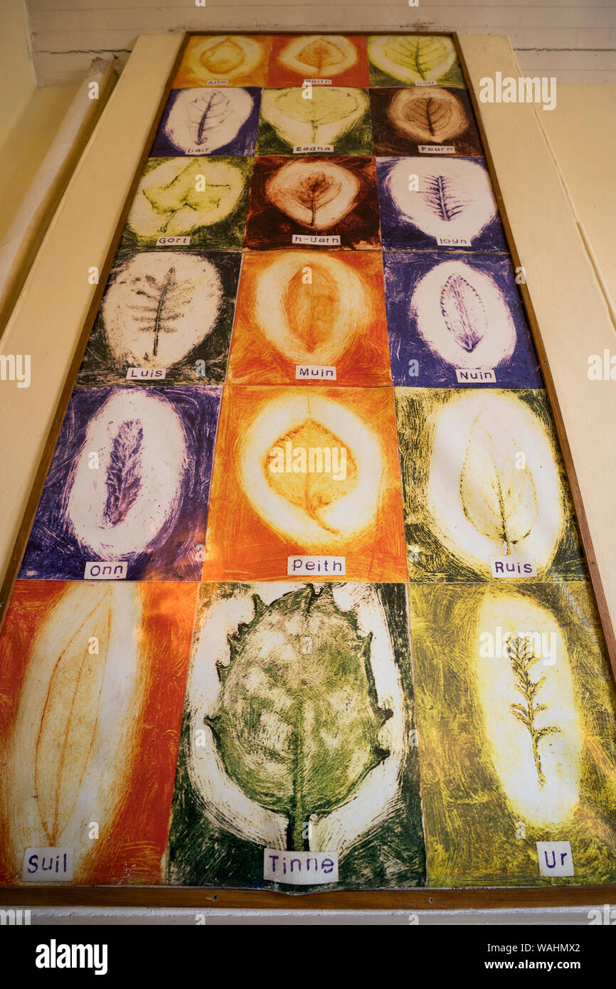 Gaelic Alphabet angezeigt durch Pflanzen an einer Wand hängend, Lewis, Insel, Äußere Hebriden, Schottland, Großbritannien Stockfoto