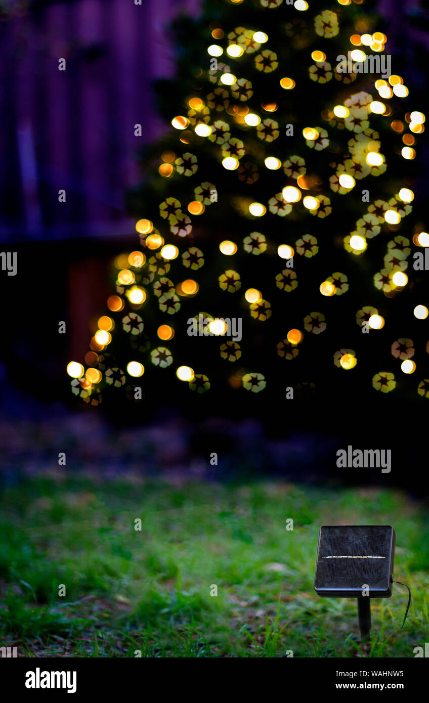 Ein Solarmodul vor einem Weihnachtsbaum mit solarbetriebenen Weihnachtsbeleuchtung in der Dämmerung mit Papierkorb Symbol bokeh. Nachhaltige Energie lebendiges Konzept Stockfoto
