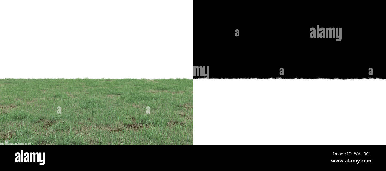 Gras Wiese Hintergrund Textur sideway mit Alpha Kanal. Stockfoto