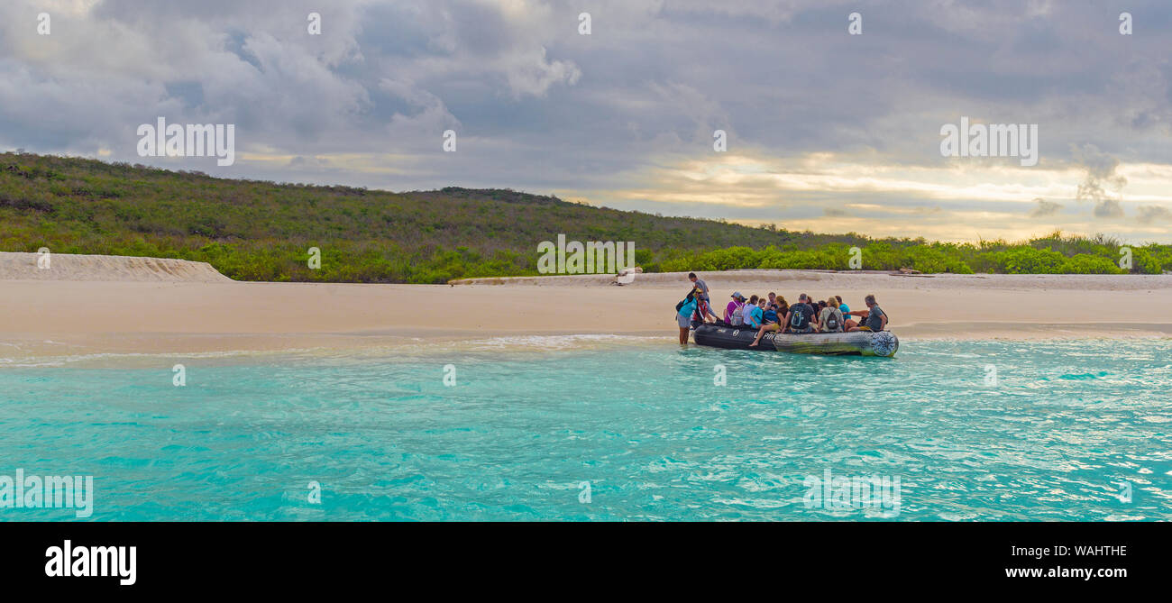 Panorama von einer Touristengruppe in einer nassen Landung auf Bahia Gardner Strand bei Sonnenuntergang, Espanola Island, Galapagos, Ecuador. Stockfoto