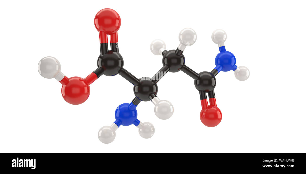 Asparagin Molekül Struktur 3d Illustration mit Freistellungspfad Stockfoto