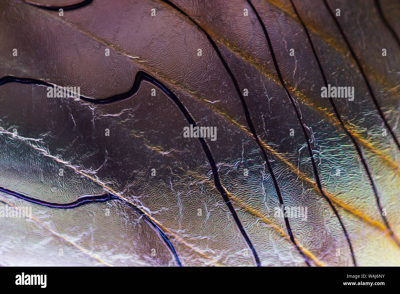 Makro von bunten Glas. Stockfoto