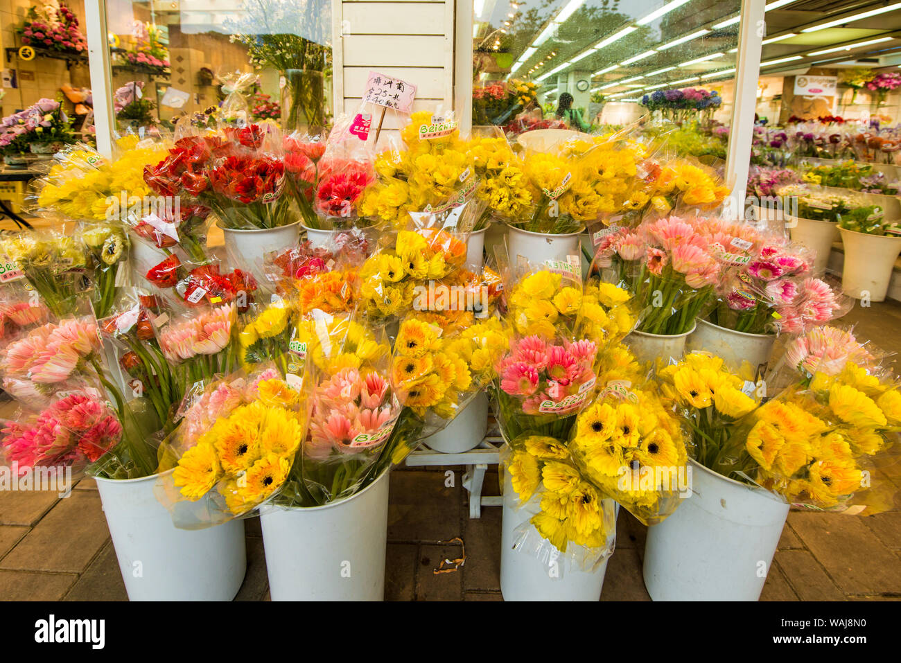 Blumenmarkt auf der Flower Market Road, Mongkok, Kowloon, Hong Kong, China. Stockfoto