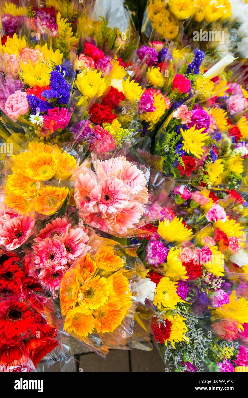 Blumenmarkt auf der Flower Market Road, Mongkok, Kowloon, Hong Kong, China. Stockfoto
