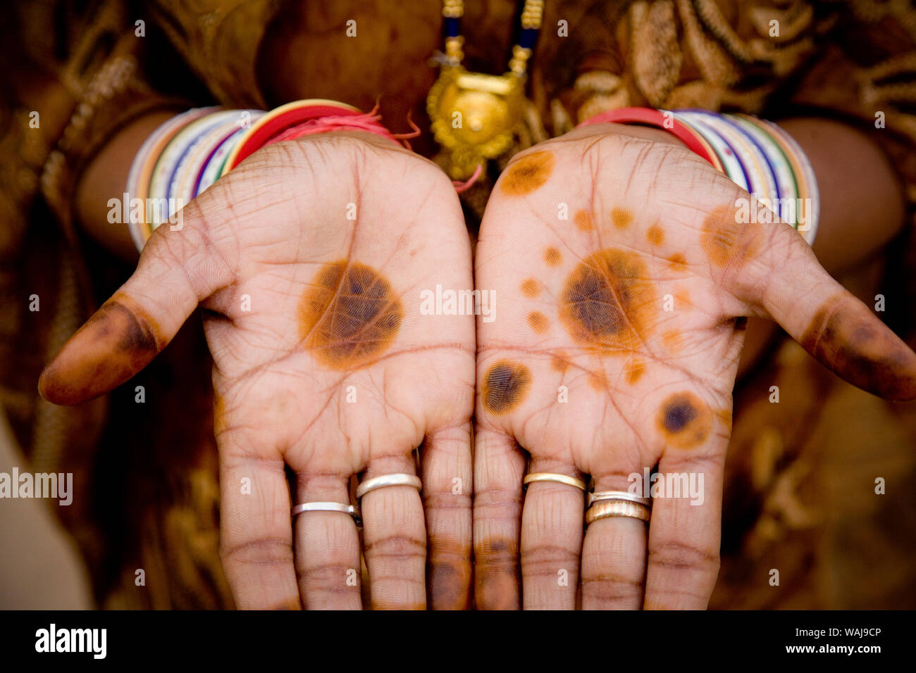 Indien, Rajasthan. Die Frau Hände mit Henna färben. Kredit als: Jim Nilsen/Jaynes Galerie/DanitaDelimont.com Stockfoto