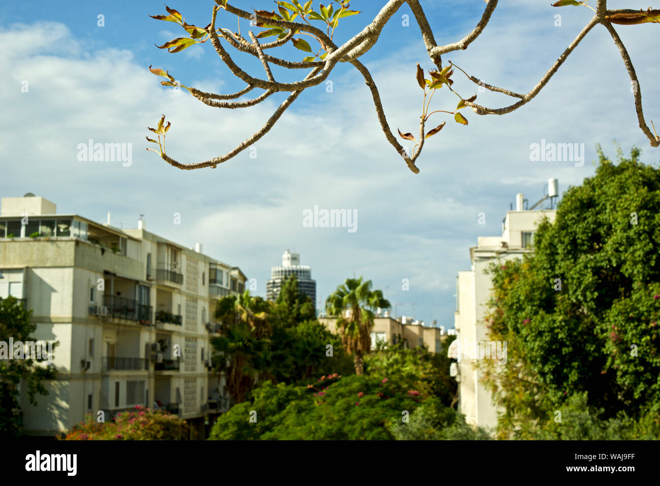 Israel, Tel Aviv. Gebäude in der Gegend des Tel Aviv Museum der Modernen Kunst Stockfoto