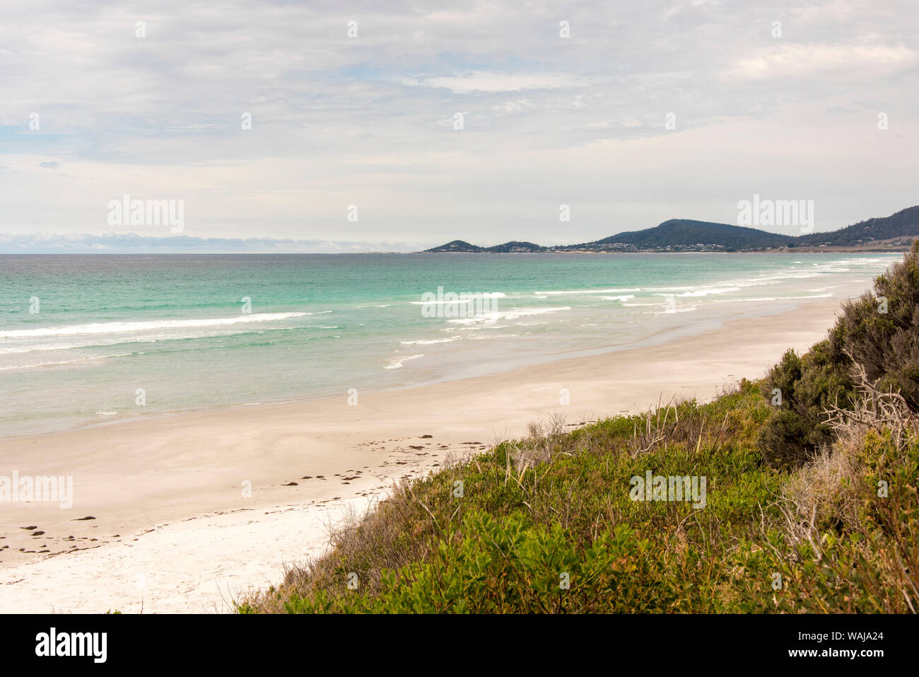 Australien, Tasmanien, Denison Beach Conservation Area Stockfoto
