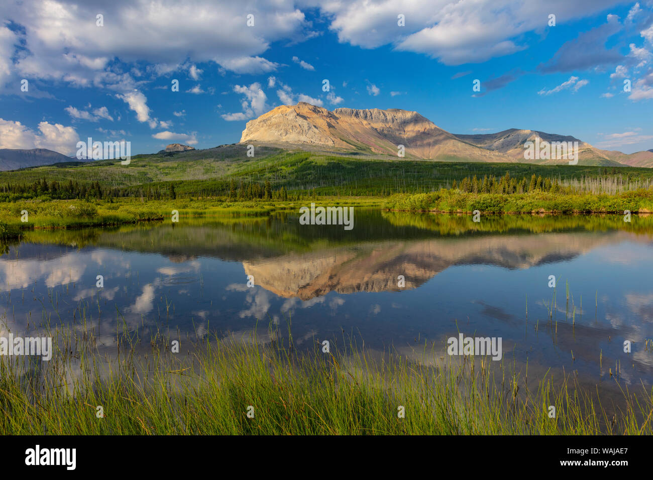 Sofa Berg in Beaver Pond in Waterton Lakes National Park, Alberta, Kanada widerspiegeln Stockfoto