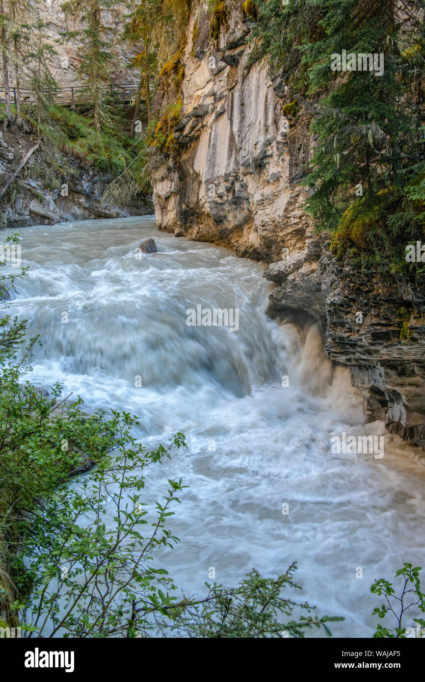 Jasper National Park, Alberta, Kanada. Wandern entlang der Johnston Canyon Lower und Upper Falls Trail. Stockfoto