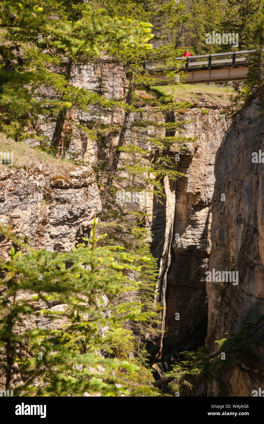 Jasper National Park, Alberta, Kanada. Steg mit Blick auf Maligne Canyon. Stockfoto