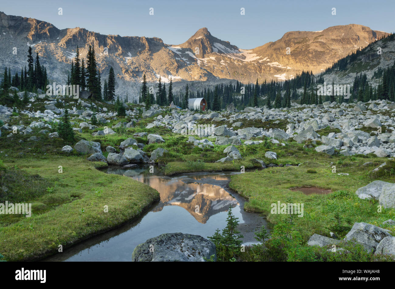 Berge im Creek wider, subalpinen Wiesen von Marriott Becken, Coast Mountains in British Columbia Stockfoto